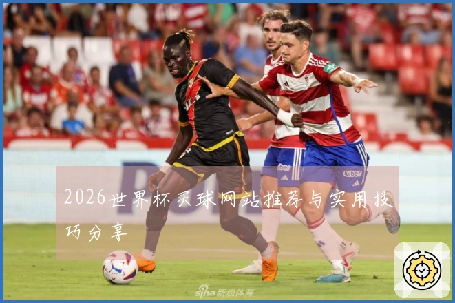2026世界杯买球网站推荐与实用技巧分享