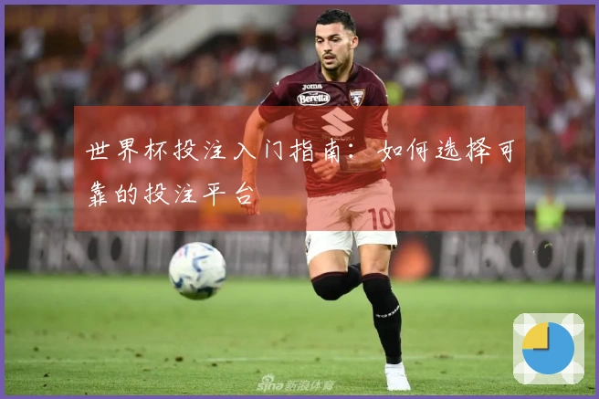 世界杯投注入门指南：如何选择可靠的投注平台